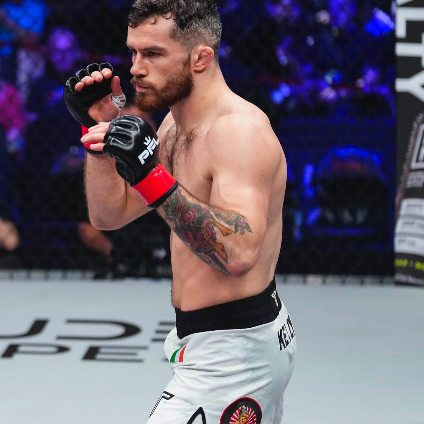 489079854_18495594514019662_5144258483268828837_n